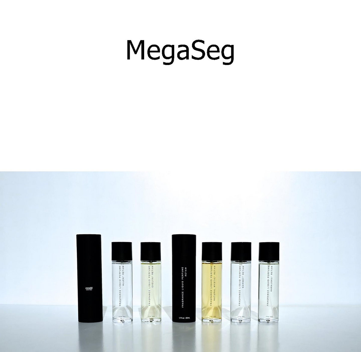 megaseg free download mac